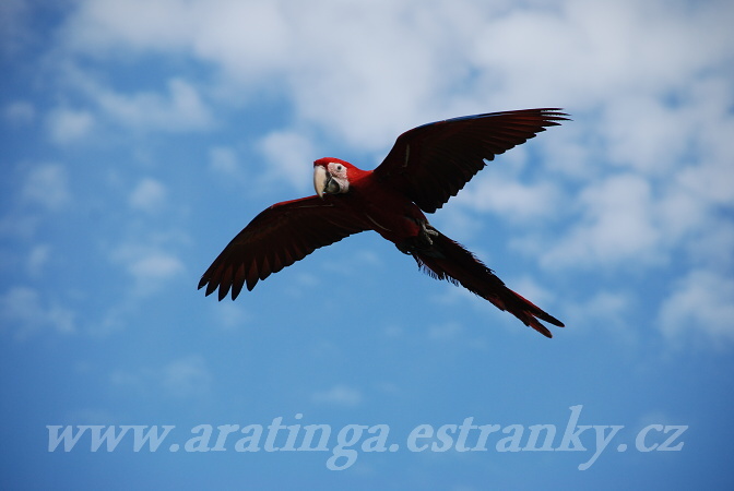 Daddy v oblacích :)