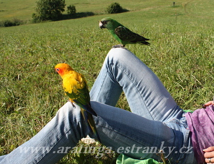 Chico a Majky relaxují :)